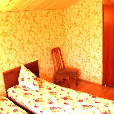 леонтія 3* Skhidnytsia