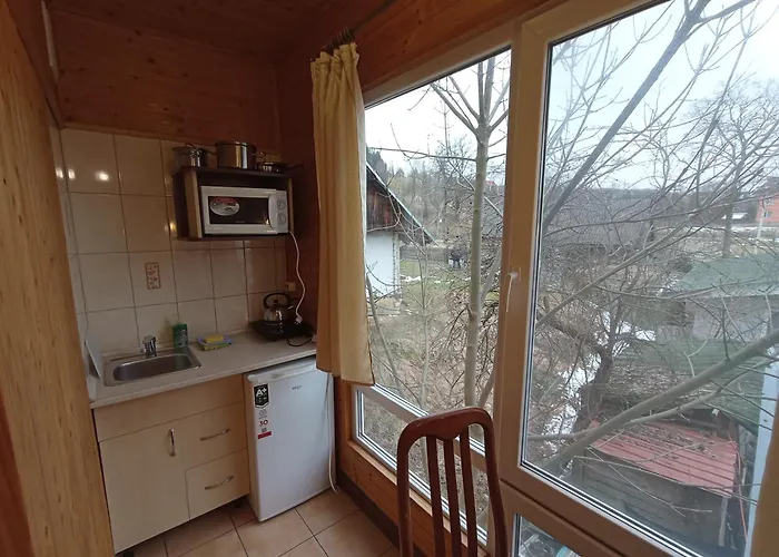 леонтія 3* Skhidnytsia
