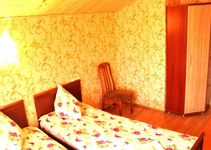 леонтія 3* Skhidnytsia